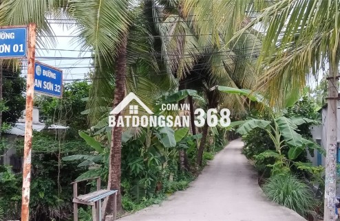 Bán Lô Đất Đẹp Mặt Tiền Đường An Sơn 32 – Gần Quanh Đai 3 – Chỉ 9,2 Triệu/M²
